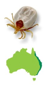 Port Macquarie Pest Control