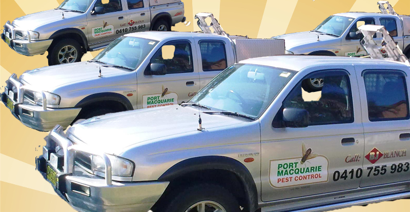 Port Macquarie Pest Control